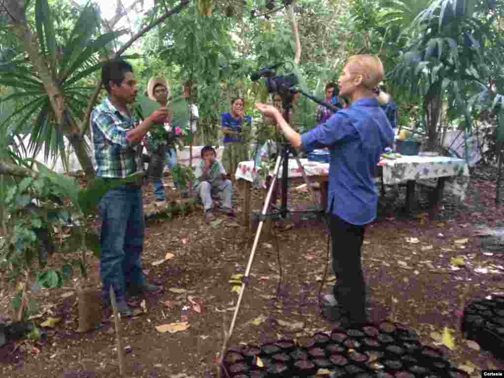 Verónica Balderas Iglesias, entrevista a un agricultor guatemalteco que solía cruzar a Belice, en busca de una hoja ornamental. [Foto: Cortesía, Balam]. &nbsp;