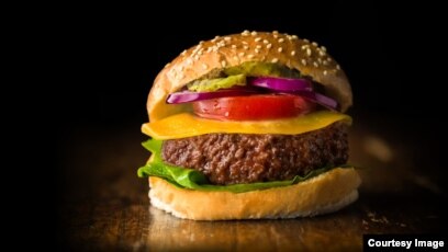 South African Startup Unveils Continent's First Cultivated Beef Burger