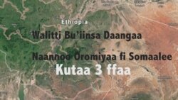 Walitti Bu’iinsa Daangaa Bulchiinsa Naannoo Oromiyaa fi Somaalee Gidduu Jiruuf Sababaan Himamuu Wal Hin Simatu: Kutaa 3 ffaa