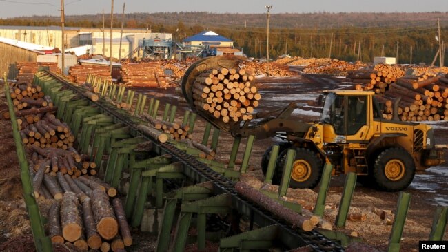 资料照：一名俄罗斯工人在西伯利亚的克拉斯诺亚尔斯克地区一个木材加工厂里工作。
