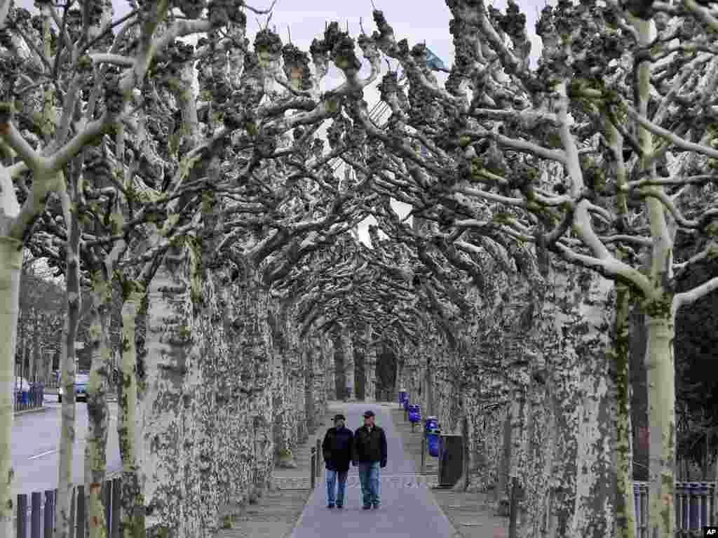 Two men walk along an alley of plane trees in Frankfurt, Germany.