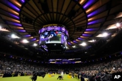 Dogs arrive for the the best in show competition during the 149th Westminster Kennel Club Dog show, February 11, 2025, in New York. (AP Photo/Julia Demaree Nikhinson)