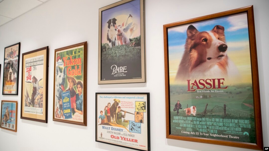 Museum Anjing di kota New York, AS. 