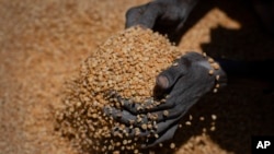 FILE: An Ethiopian woman scoops up portions of peas distributed by the Relief Society of Tigray in the town of Agula, in the Tigray region of northern Ethiopia, on May 8, 2021. The conflict has spawned massacres, gang rapes and the widespread expulsion of people from their homes.