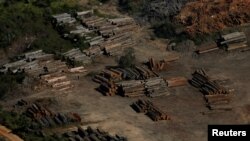 Piles of wood are seen during "Operation Green Wave" conducted by agents of the Brazilian Institute for the Environment and Renewable Natural Resources in Amazonas, Brazil, July 27, 2017.