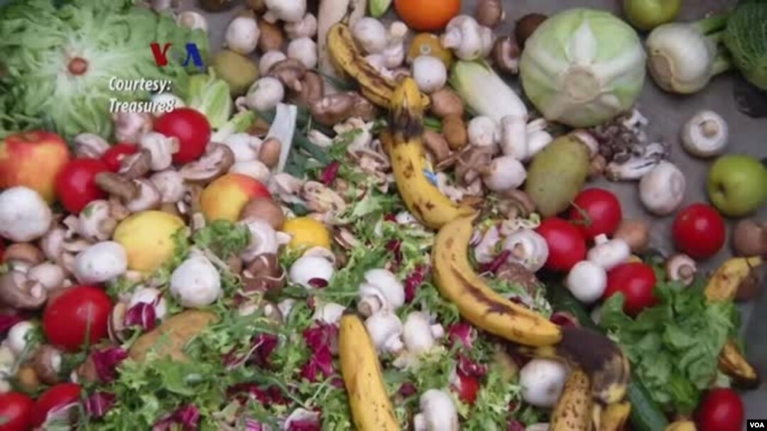 ILUSTRASI - Menurut The Green Restaurant Association", sebuah restoran di AS rata-rata menghasilkan 11 ribu hingga 34 ribu kilogram sampah makanan per tahunnya. (Courtesy: Treasure8)