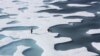 FILE - The crew of the U.S. Coast Guard Cutter Healy, in the midst of their ICESCAPE mission to study sea ice, retrieves supplies in the Arctic Ocean, July 12, 2011. 