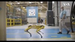 LogOn Ford Robot Dogs -- USAGM CQ