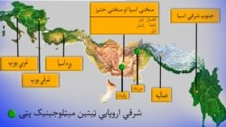 ایسټرن ټیتیان میټالوجونک پټۍ