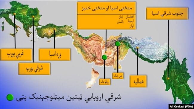 ایسټرن ټیتیان میټالوجونک پټۍ
