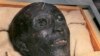 Para Pakar Bertemu di Mesir Bahas Pemindahan Artefak Raja Tut