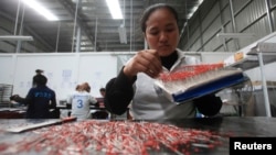 FILE: A woman works at a Japanese owned factory at the Phnom Penh Special Economic Zone (PPSEZ), on the outskirts of Phnom Penh, Dec. 17, 2014. 