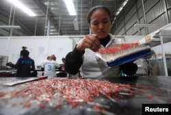 FILE - A woman works at a Japanese owned factory at the Phnom Penh Special Economic Zone (PPSEZ), on the outskirts of Phnom Penh, Dec. 17, 2014.