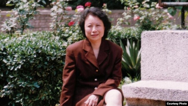 北京政治学者陈小雅（网上资料照）