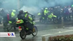 Xwepêşandanên Colombia(Kolombiya) Dom Dikin