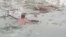 Police Rescue Dog from Frozen Reservoir as Cold Front Hits Spain