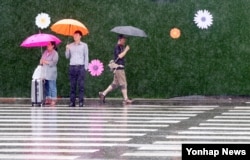 서울과 인천, 경기북부, 강원북부 등에 호우주의보가 발령된 15일 서울시청 앞 횡단보도에서 시민들이 우산을 쓰고 있다.