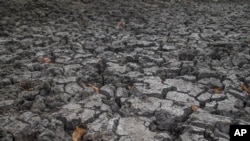 Sehemu ya chini ya shimo la kunyweshea mifugo huko Mudzi, Zimbabwe Julai 2,2024 ambako ukame unaosababishwa na El Nino unaathiri mamilioni ya watu, na watoto wako hatarini zaidi. (Picha ya AP/Aaron Ufumeli)
