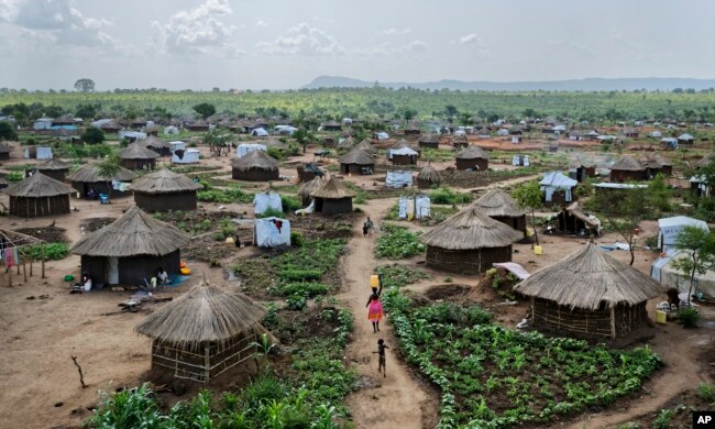 In this photo taken Friday, June 9, 2017, women and children return home with plastic containers of water, in a section of the sprawling complex of mud-brick houses and tents that makes up the Bidi Bidi refugee settlement in northern Uganda.