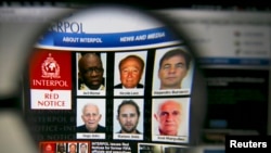 The homepage of the Interpol website is seen through a magnifying glass in this picture illustration taken in Berlin, Germany June 3, 2015. Interpol said on Wednesday it has issued international wanted-person alerts for two former FIFA officials including