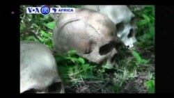 VOA60 AFRICA - MARCH 25, 2014