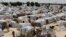 A general view of one of the biggest camp for people displaced by Islamist Extremist in Maiduguri, Nigeria, Aug. 28, 2016.