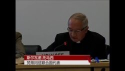 联合国吁梵蒂冈清除被控虐待儿童神职人员