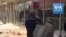 Magasins pillés et détruits lors des troubles en Afrique du Sud