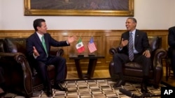 President Barack Obama meets with Mexican President Enrique Peña Nieto, state government palace, Toluca, Mexico, Feb. 19, 2014.