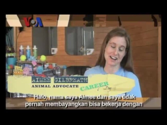 Karir sebagai Penyelamat Binatang (Bagian 1) - VOA Career Day