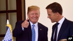 Президент Трамп з прем’єр-міністром Нідерландів Марком Рютте у Білому Домі 2 липня 2018р.