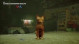 Permainan Video Anjurkan "Adopsi, Jangan Beli" Anjing atau Kucing