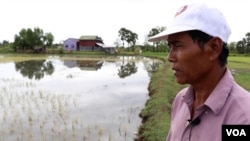 Cambodian rice farmer Prak Nhorn. (Elise Cutts/VOA)