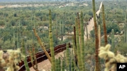 Fotografía de archivo del 17 de febrero de 2006 de una cerca que separa el Parque Nacional Organ Pipe Cactus, derecha, de Sonoyta, México, a través de Lukeville, Arizona. (AP Foto/Matt York, Archivo)