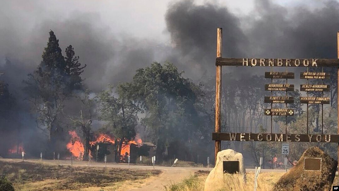 Kebakaran hutan melanda wilayah Hornbrook, California, Jumat (6/7). 