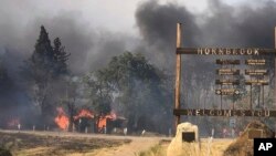 Kebakaran hutan melanda wilayah Hornbrook, California, Jumat (6/7). 