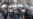 Chicago Protesters Block Streets, Disrupt Holiday Shopping