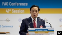 FILE - Qu Dongyu of China addresses a plenary meeting of the 41st Session of the Conference, at the FAO headquarters in Rome, June 22, 2019.