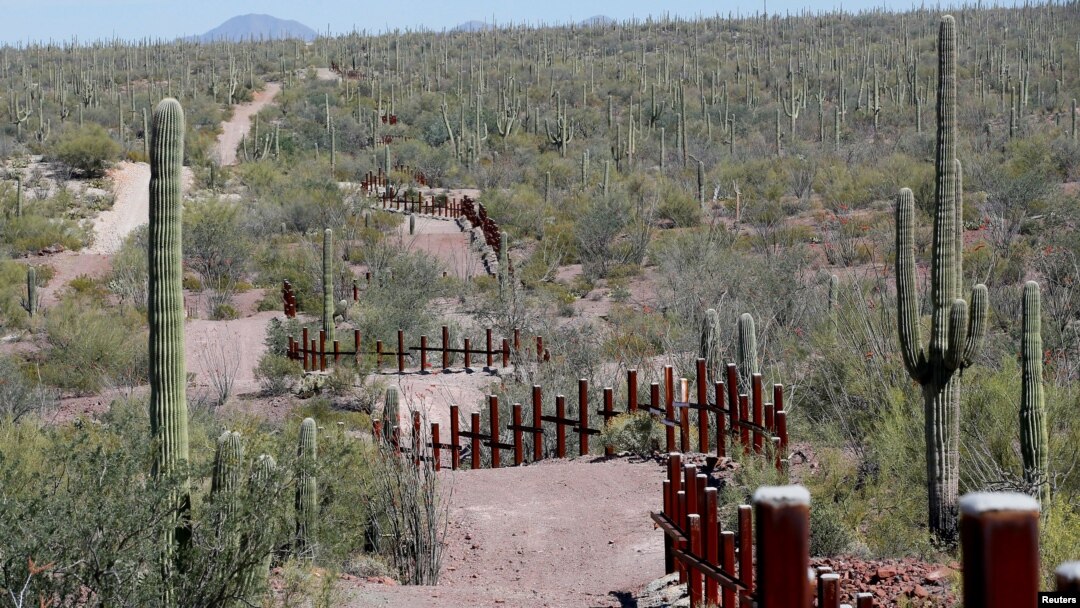 FILE - The vehicle barrier on the U.S.-Mexico border weaves around Saguaro cactus in the Sonoran desert on the Tohono O'odham reservation in Chukut Kuk, Arizona, April 6, 2017.