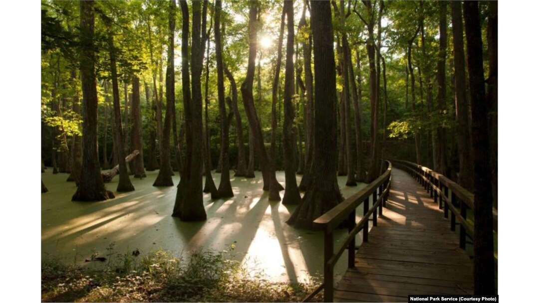 Following the Footsteps of Generations Along Natchez Trace