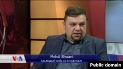 Mahdi Shwani