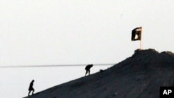 Anggota militan ISIS menancapkan bendera di puncak bukit di Kobani, Suriah (Foto: dok)