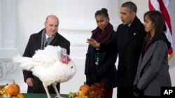 Presiden AS Barack Obama, bersama kedua puterinya, Sasha and Malia mengampuni seekor kalkun yang dijuluki 'Popcorn' dalam acara di Gedung Putih, Rabu (27/11).