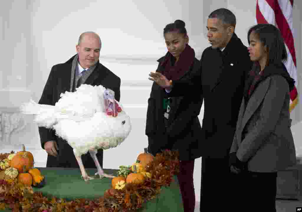 Le président Barack Obama, avec filles Sasha, deuxième à gauche, et Malia, à droite, perpétue la tradition d&#39;une &quot;grâce présidentielle accordée à une dinde à l&#39;occasion de la Thanksgiving. Photo prise à la Maison Blanche à Washington, mercredi 27 novembre ,2013,