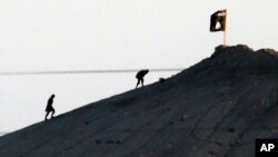 Dhimma Dargaggoota Sumaalee Lammii Ameerikaa Sadi’ii Han Loltuu Aysiis Ta'uudha Karoorfatan Jedhamanii