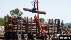 FILE - A worker unloads logs at the Murray Brothers Lumber Company in Madawaska, Ontario, Canada, July 4, 2018. 