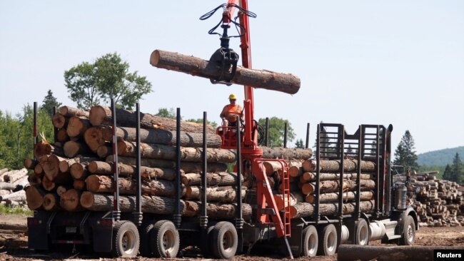 FILE - A worker unloads logs at the Murray Brothers Lumber Company in Madawaska, Ontario, Canada, July 4, 2018.