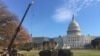 Árbol de Navidad del Capitolio llega a Washington desde Montana