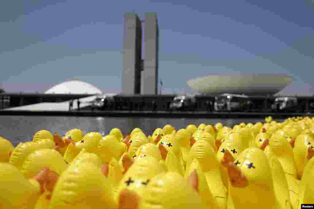 Inflatable ducks are seen in front of the National Congress during a protest against tax increases in Brasilia, Brazil.