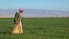 IS Militants Target Kurdish Farmers in Disputed Iraqi Territories